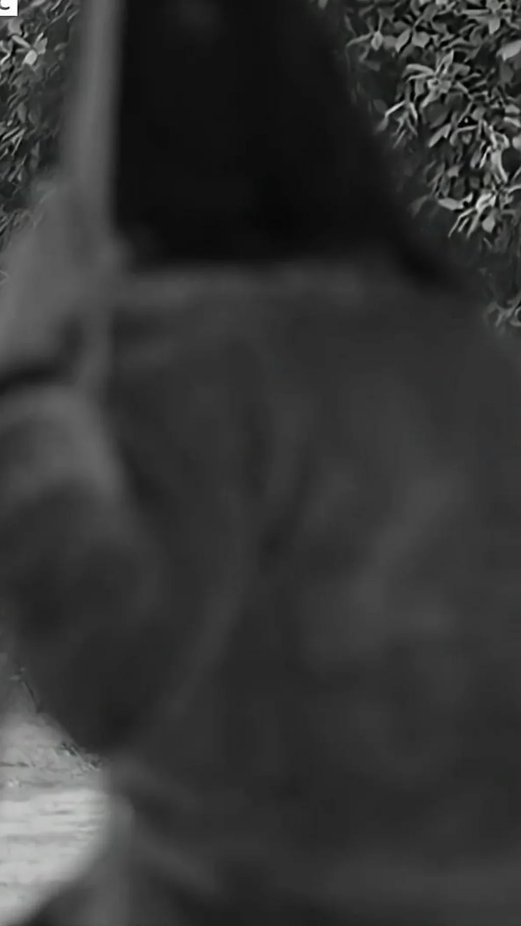 कभी धोखा तो कभी मजबूरी, सेक्स वर्कर्स ने बतायी आपबीती