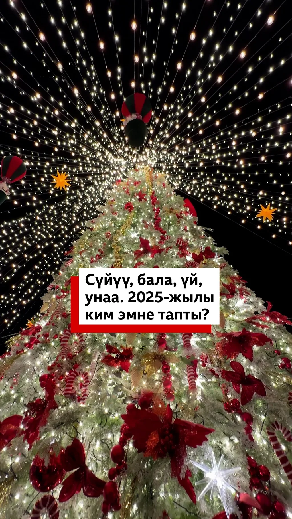 Сүйүү, бала, үй, унаа. 2025-жылы ким эмне тапты?