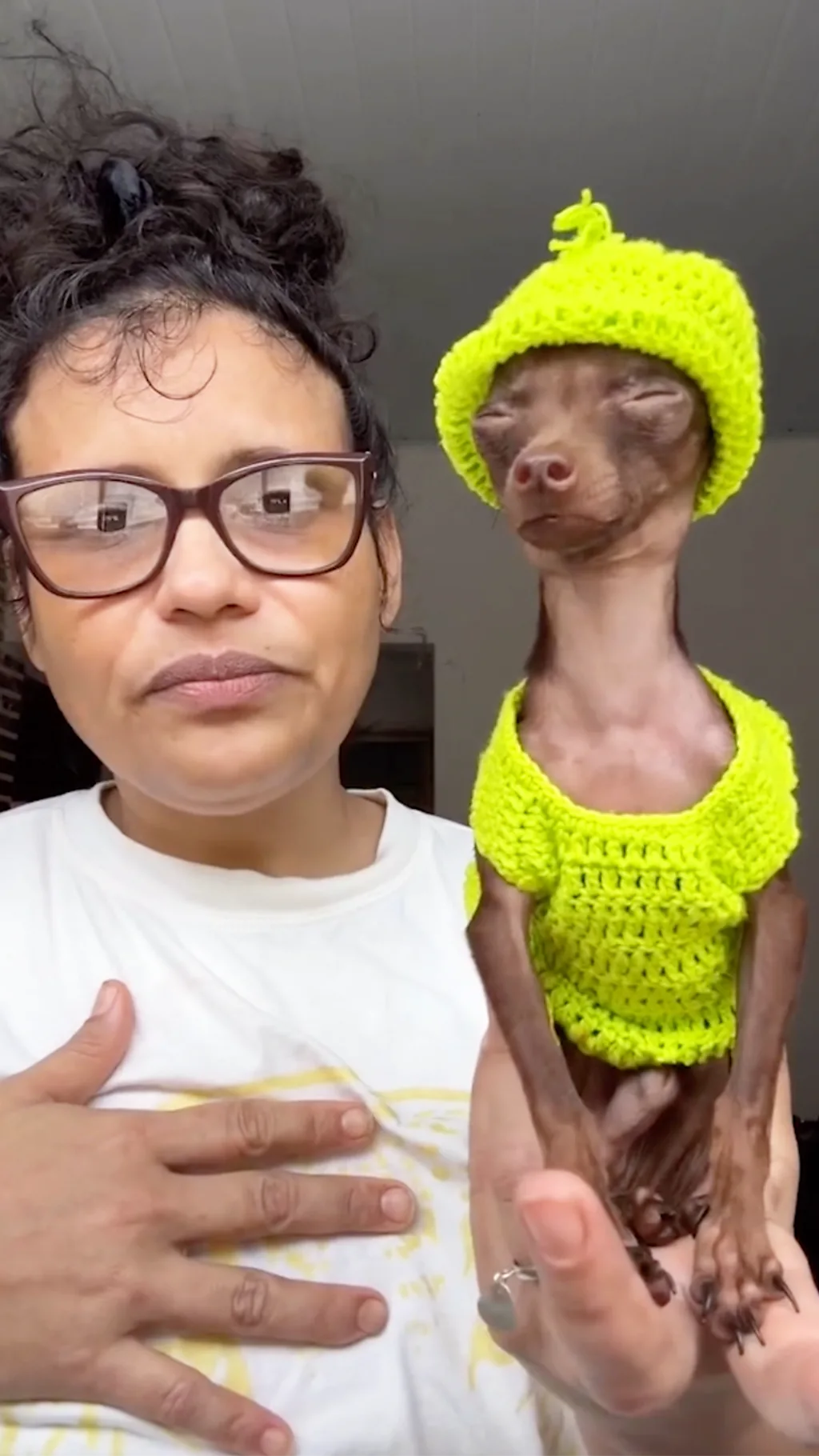 Пес Йоши и его хозяйка.