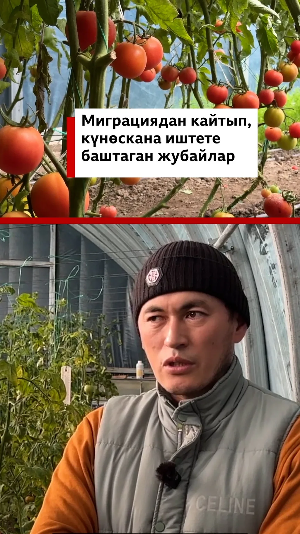 Миграциядан кайтып, күнөскана иштете баштаган жубайлар