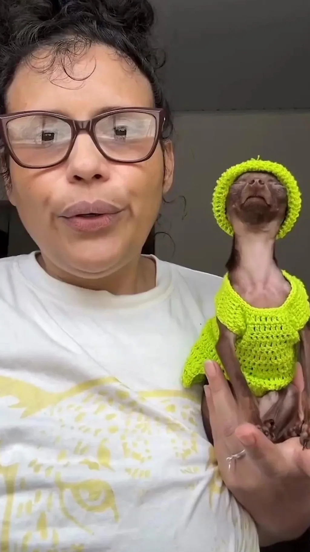 இணையத்தில் சிரிப்பலையை ஏற்படுத்திய பிரபல நாயின் உடை