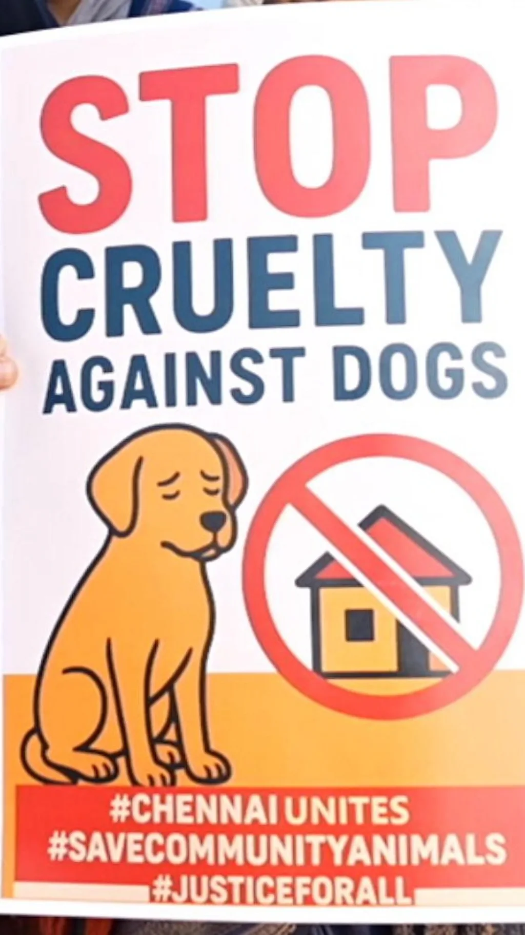 காணொளி: தெருநாய்களுக்காக கவன ஈர்ப்பு கூட்டம்