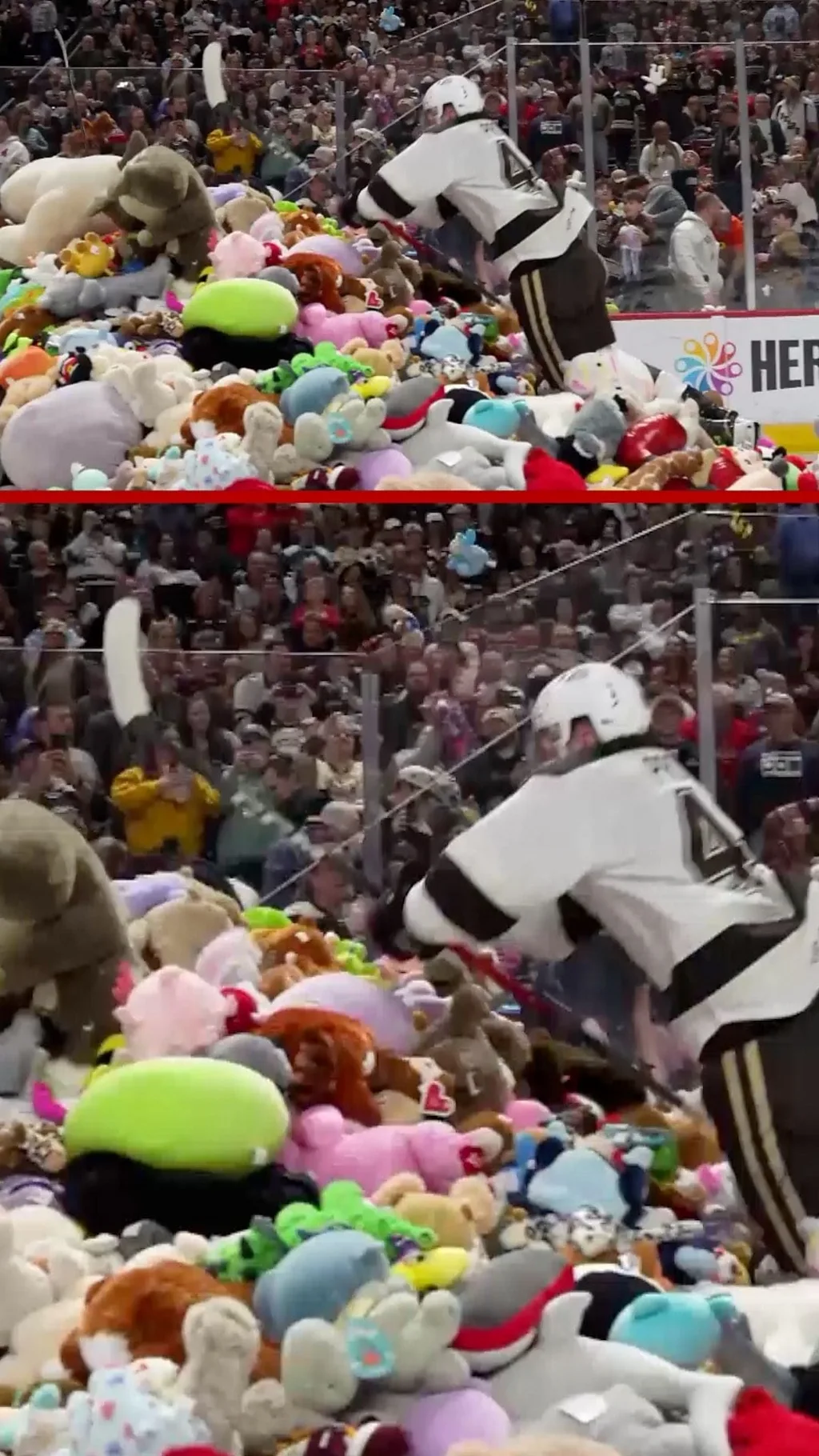 ටෙඩි බෙයාර් 80,000කට අධික සංඛ්යාවක් හොකී පිටියකට විසි කළ මොහොත