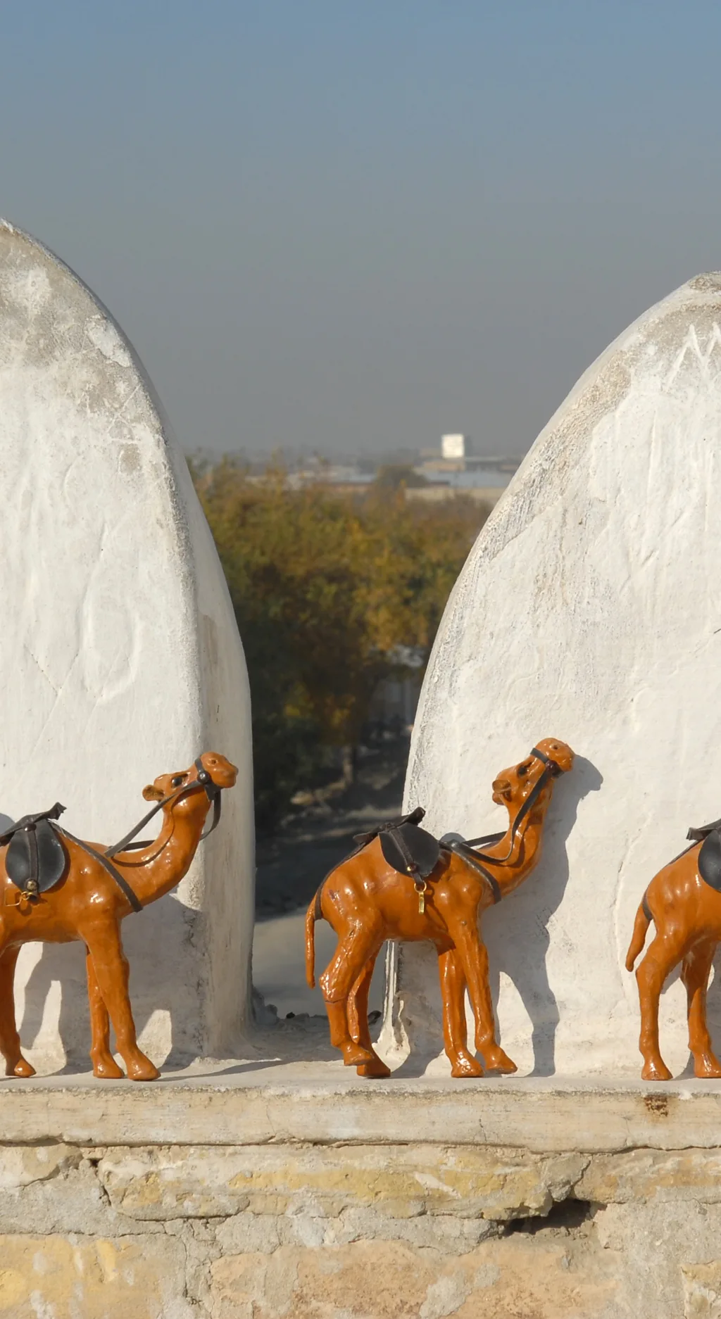 O'zbekistonda iqlim o'zgarishi ikki baravar tez