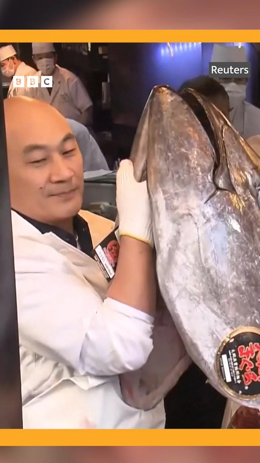 અંદાજે 30 કરોડ રૂપિયામાં આ માછલી કેમ વેચાઈ?