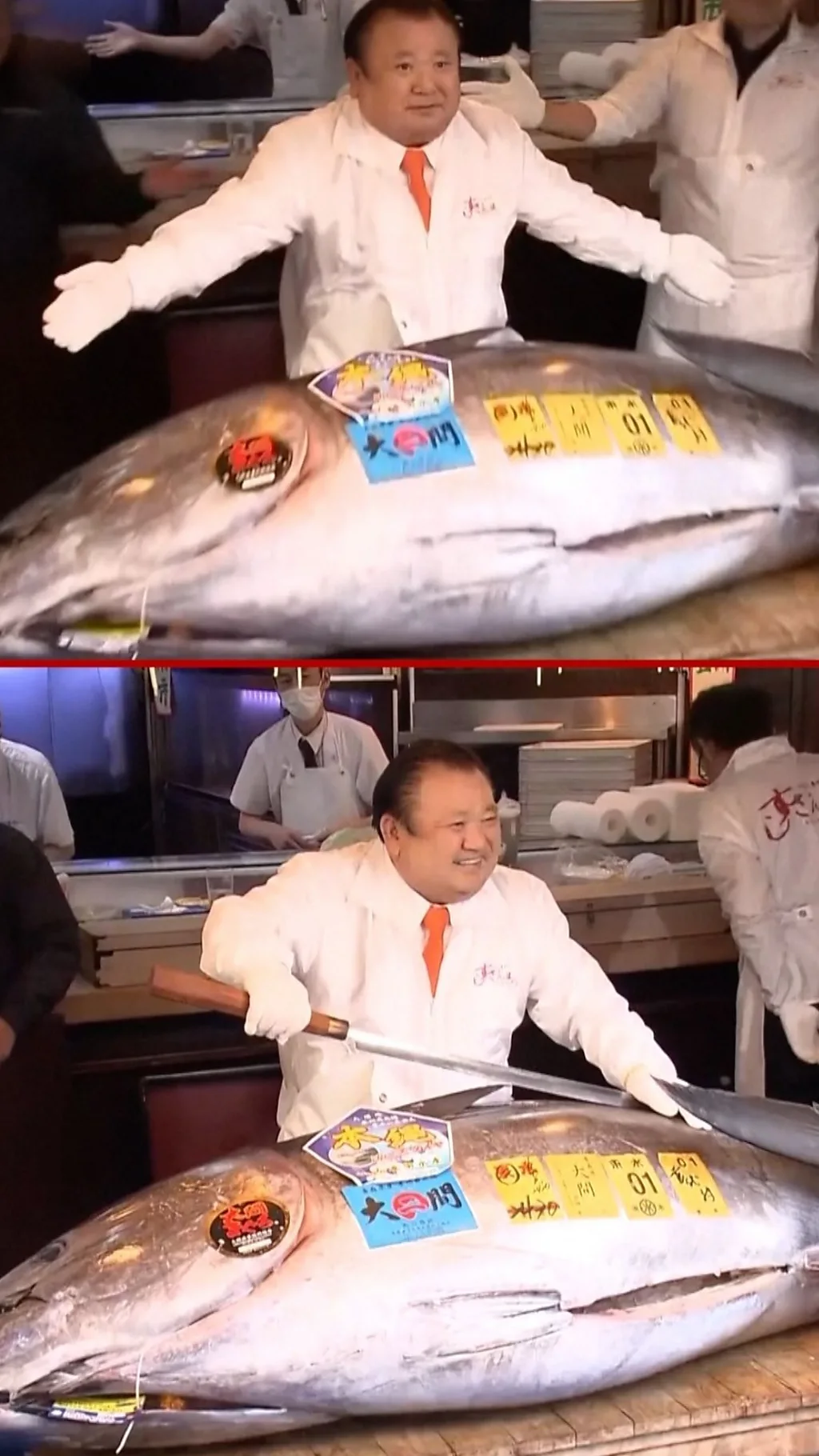 टोक्यो में बिकी दुनिया की सबसे महंगी टूना फ़िश