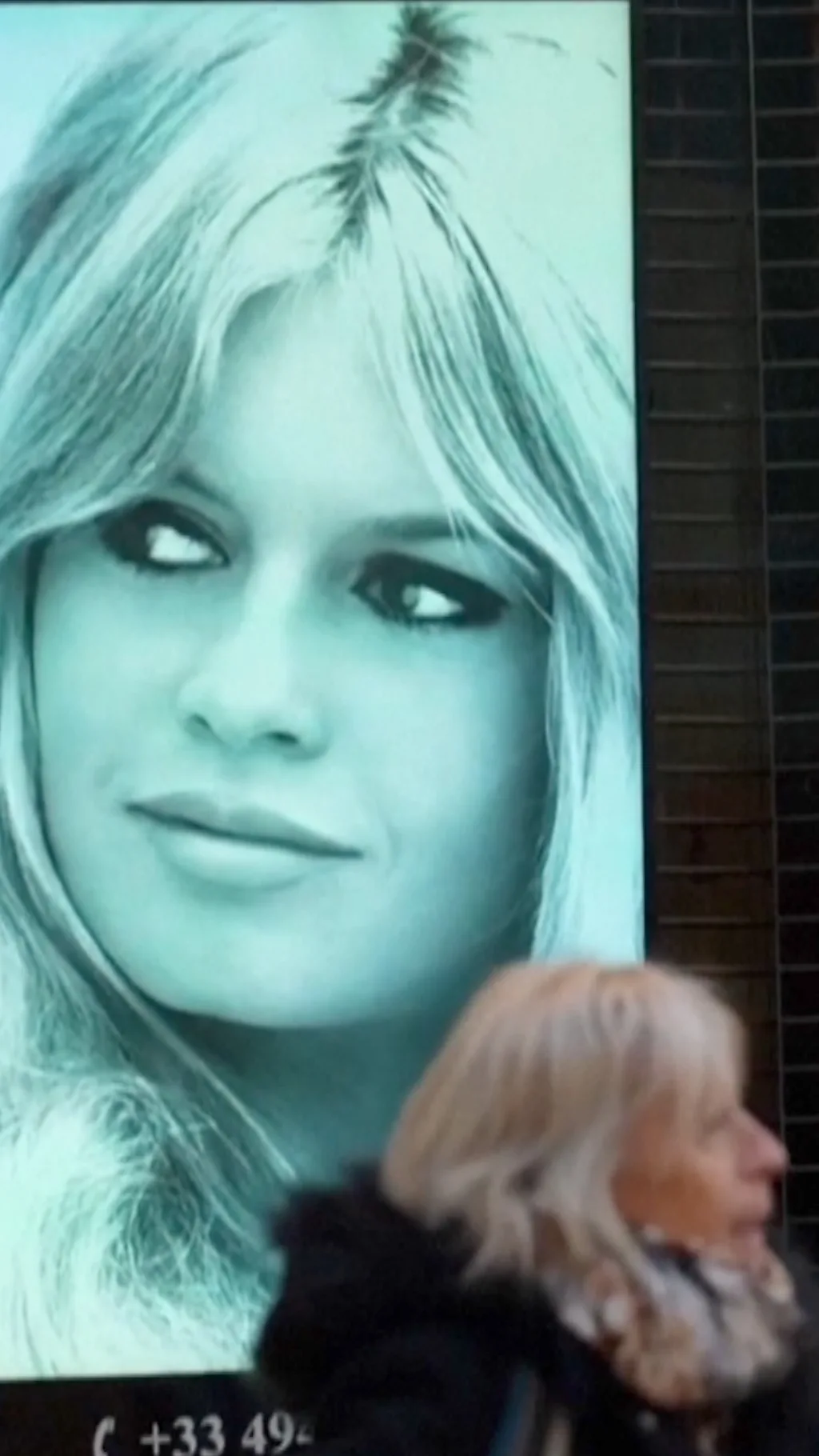 Эко-похороны Брижит Бардо