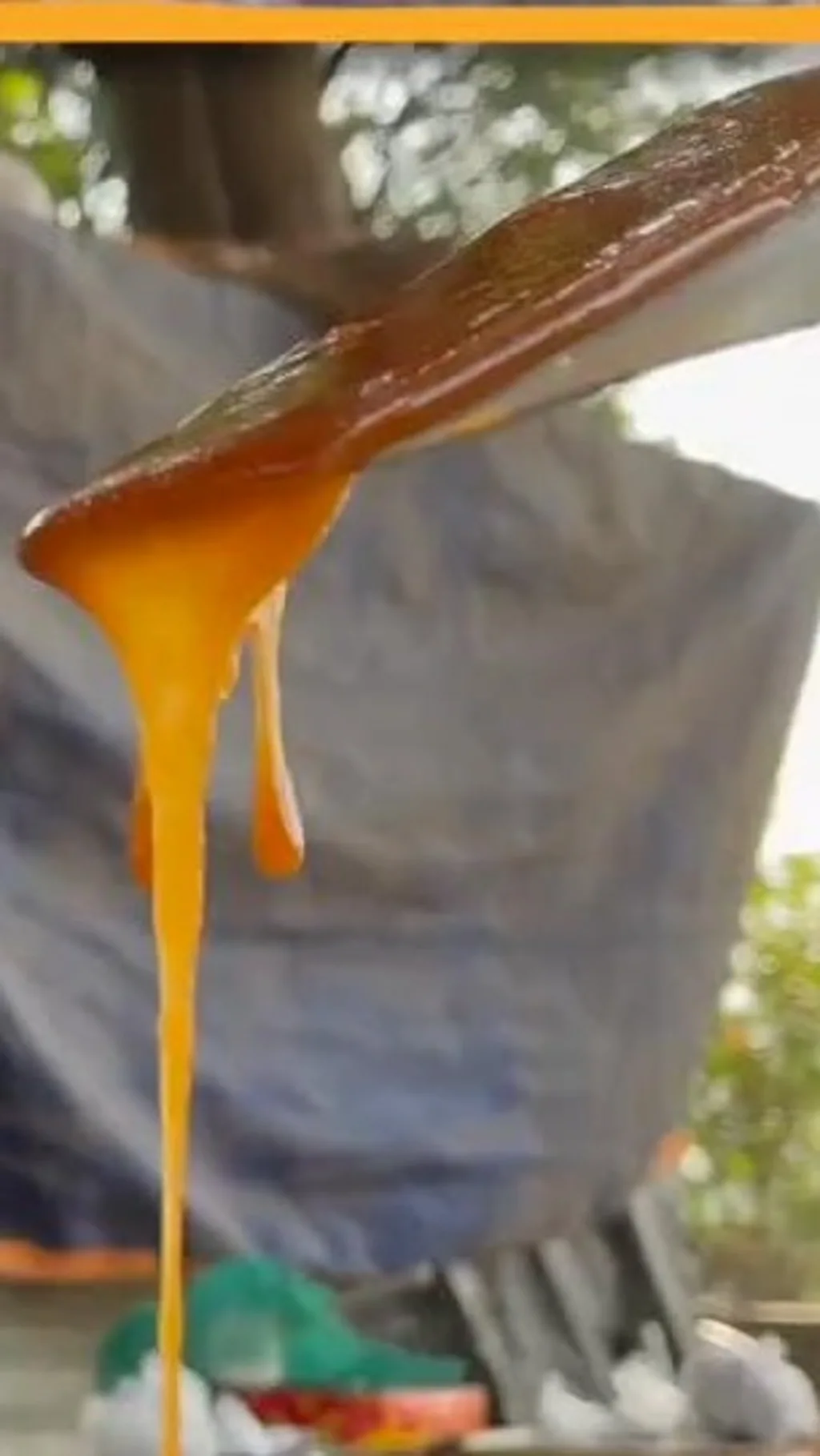 खजूर के पेड़ से निकलने वाले रस से बनता है ये गुड़