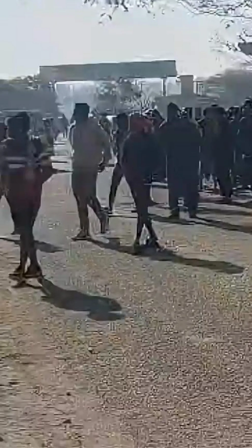 एक हाथी के दहशत में जी रहे ये लोग