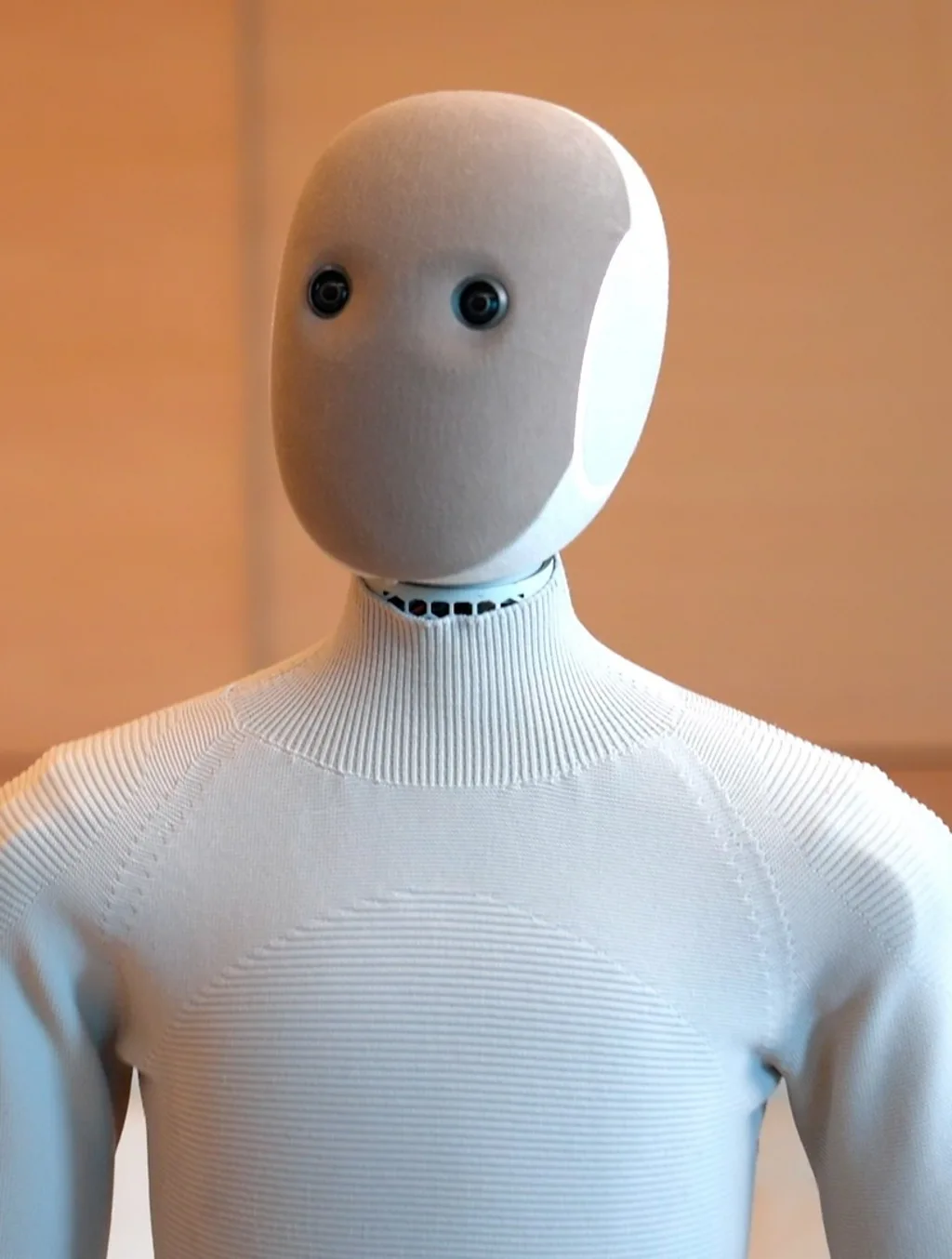 Humanoidni roboti kućni pomoćnici bi tokom 2026. mogli prvi put da se pojave na tržištu.