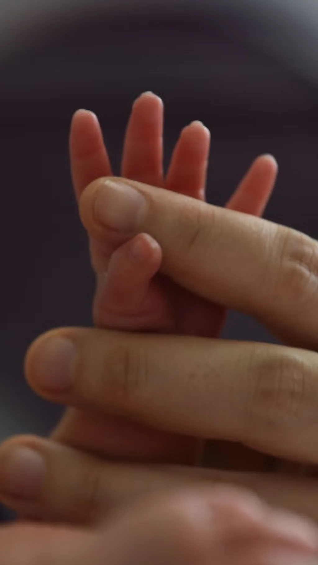 Рука взрослого держит руку младенца