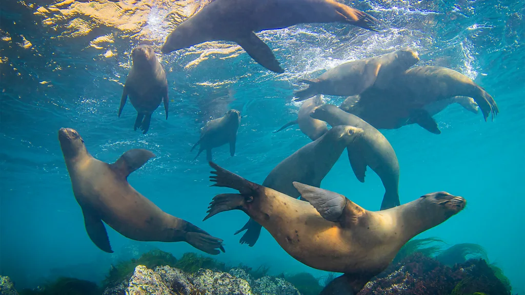 The Channel Islands are known as 