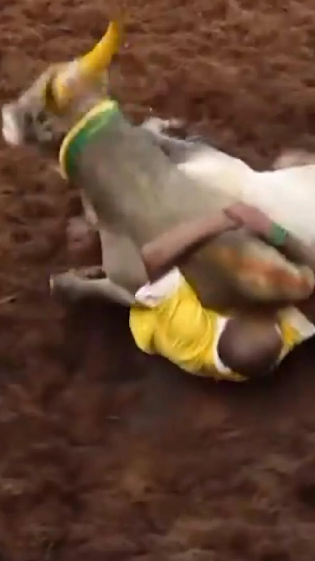 காணொளி: அலங்காநல்லூர் ஜல்லிக்கட்டில் சீறிய மாட்டை விடாமல் பிடித்த வீரர்