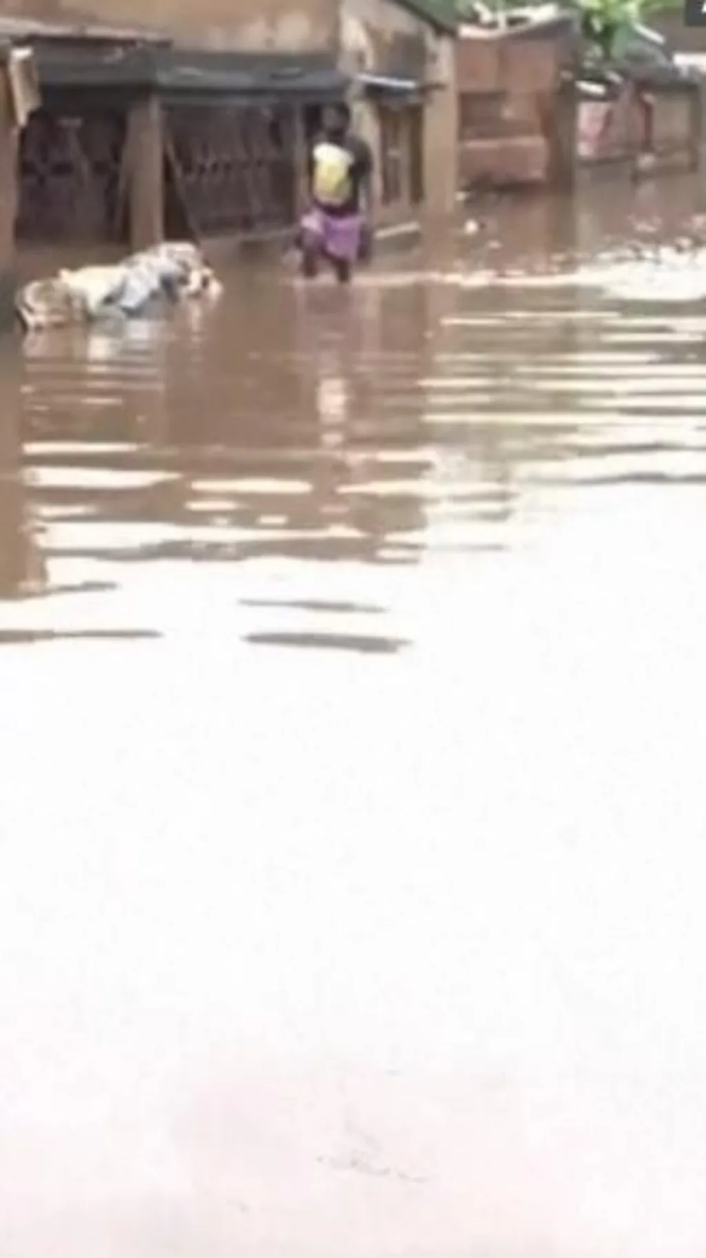 પૂરને કારણે 100થી વધુ લોકોનાં મોત, આખેઆખા ગામો ડૂબ્યા પાણીમાં