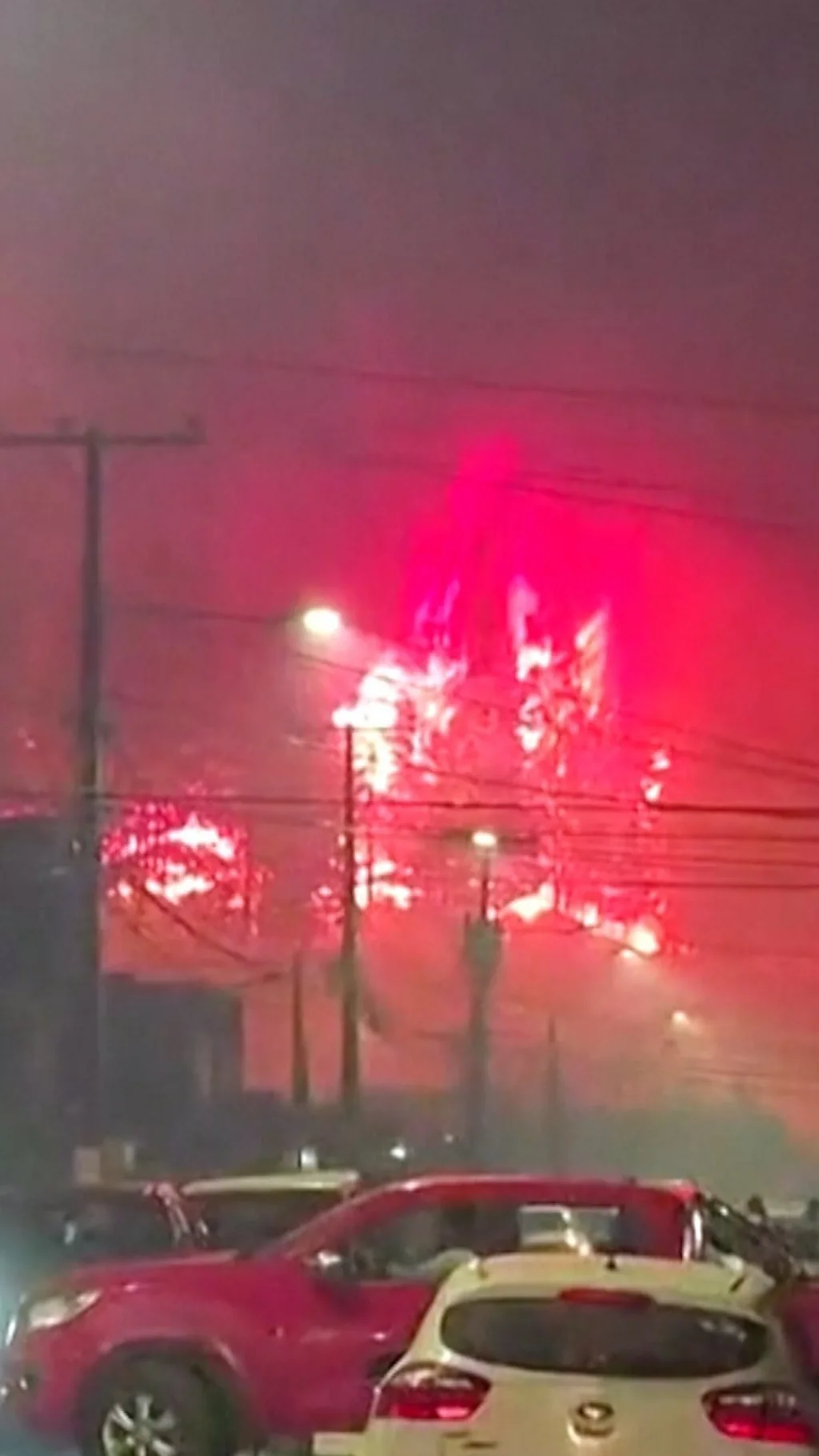 चिली के जंगलों में भीषण आग, कई लोगों की मौत