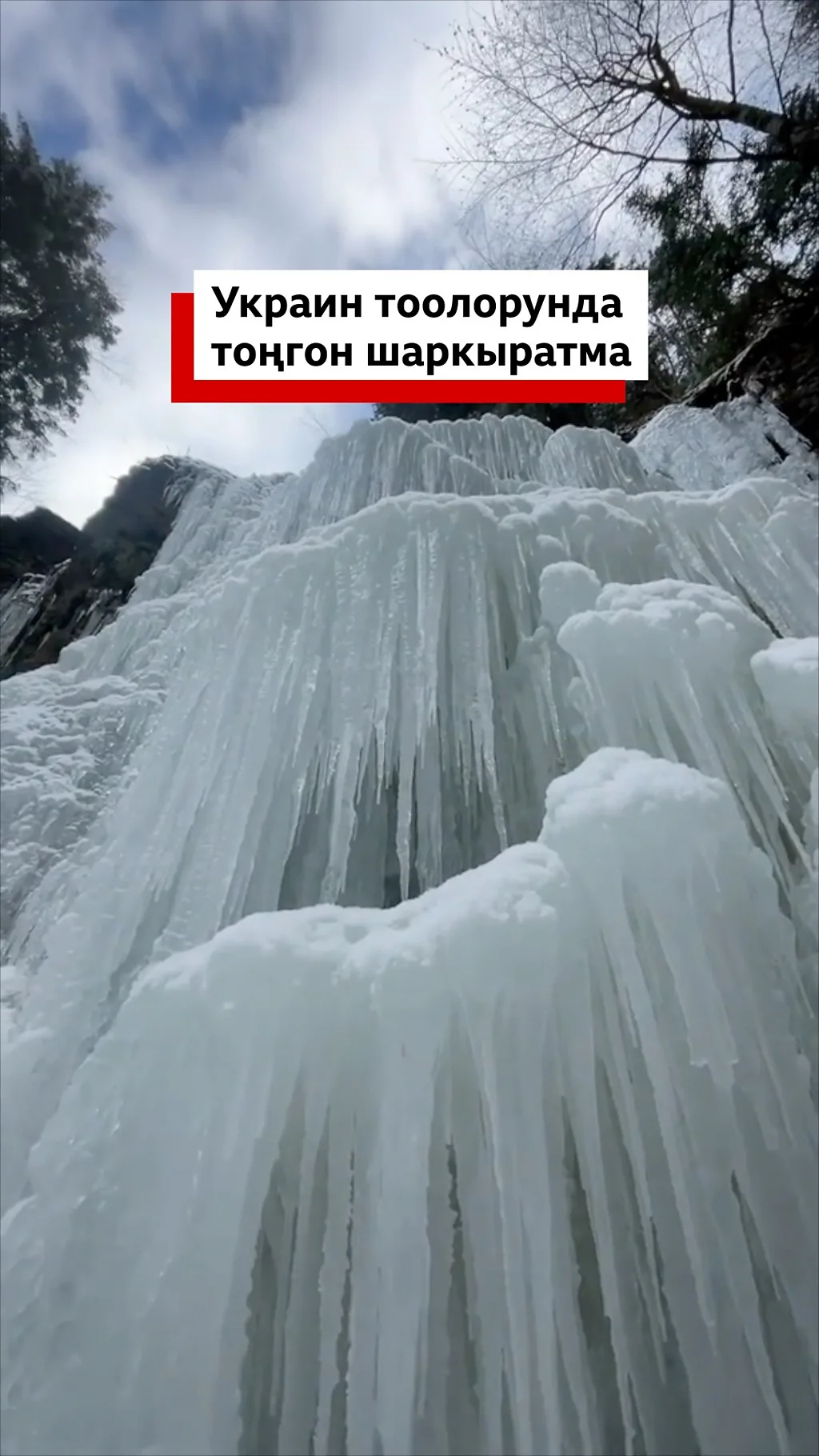 Украин тоолорунда тоңгон шаркыратма