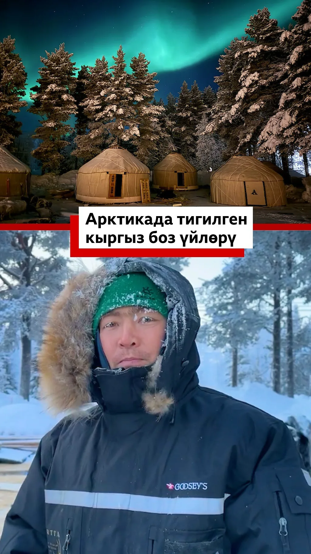 Арктикада тигилген кыргыз боз үйлөрү