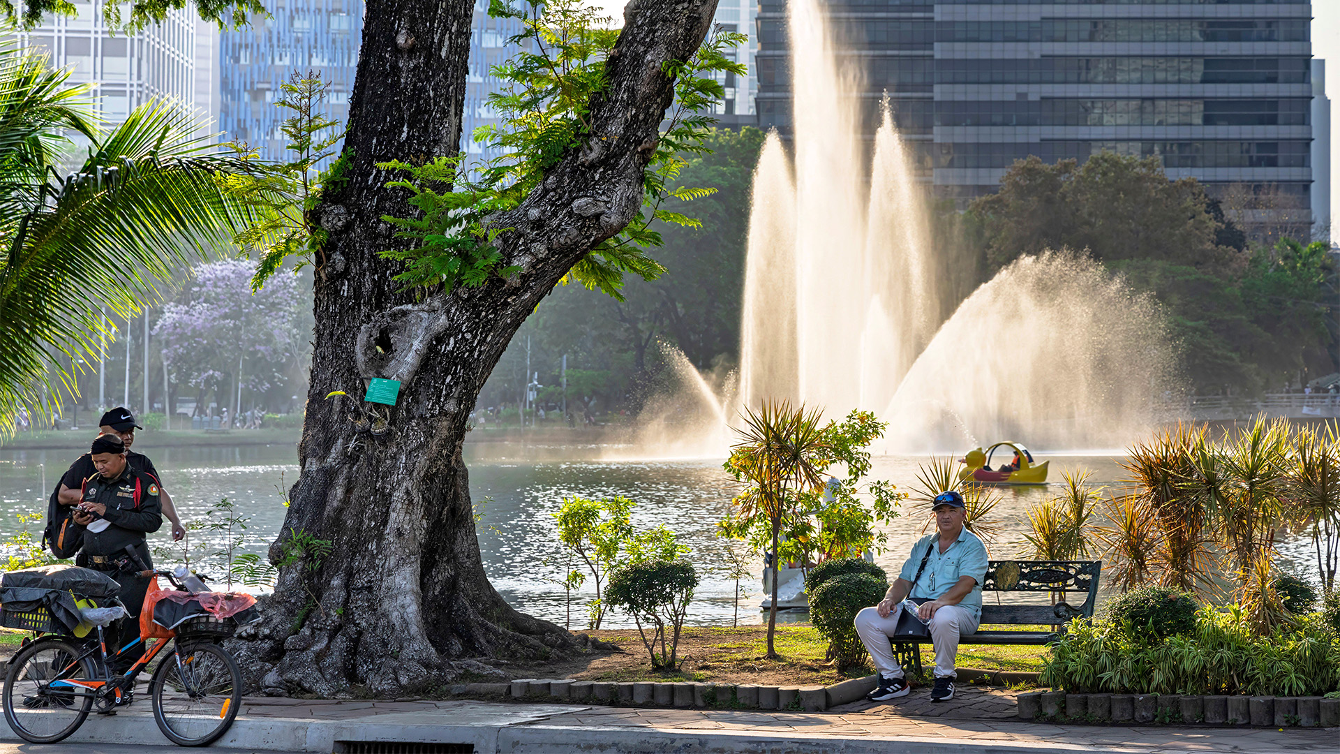 Lumphini Park, one of Bangkok's largest inner-city green spaces, is where many visitors first encounter the city's water monitor lizards (Credit: Getty Images)