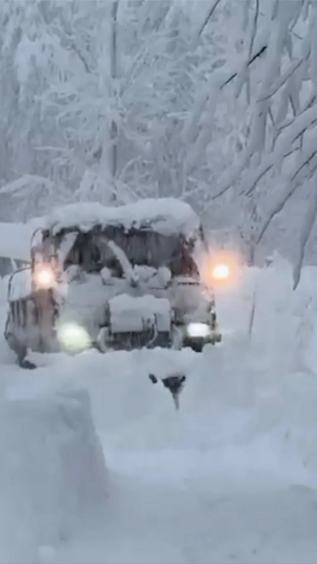 कश्मीर घाटी में लंबे इंतज़ार के बाद बर्फ़बारी