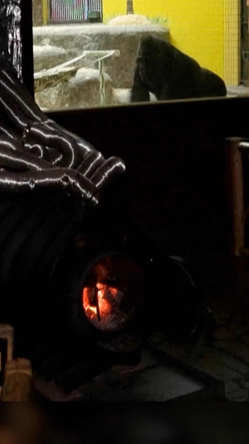 Дровяная печь на фоне гориллы