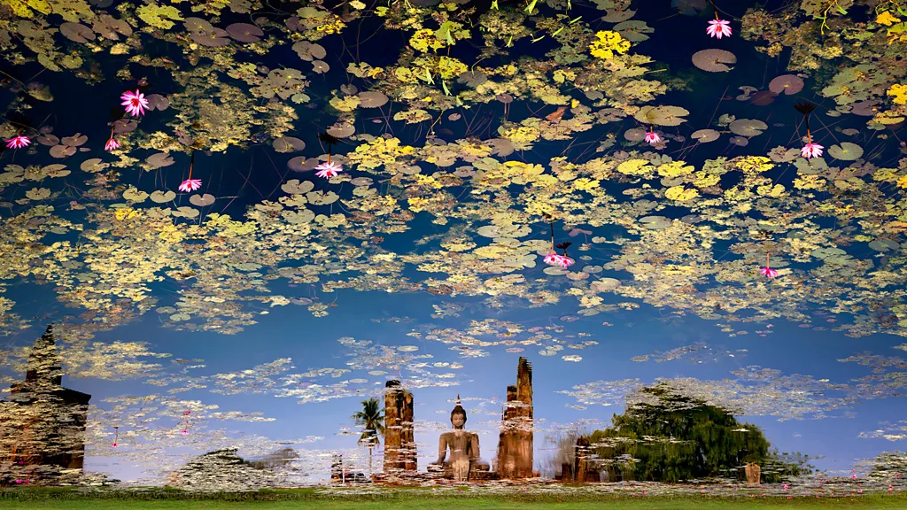 (Credit: John Edwards/ tpoty.com)