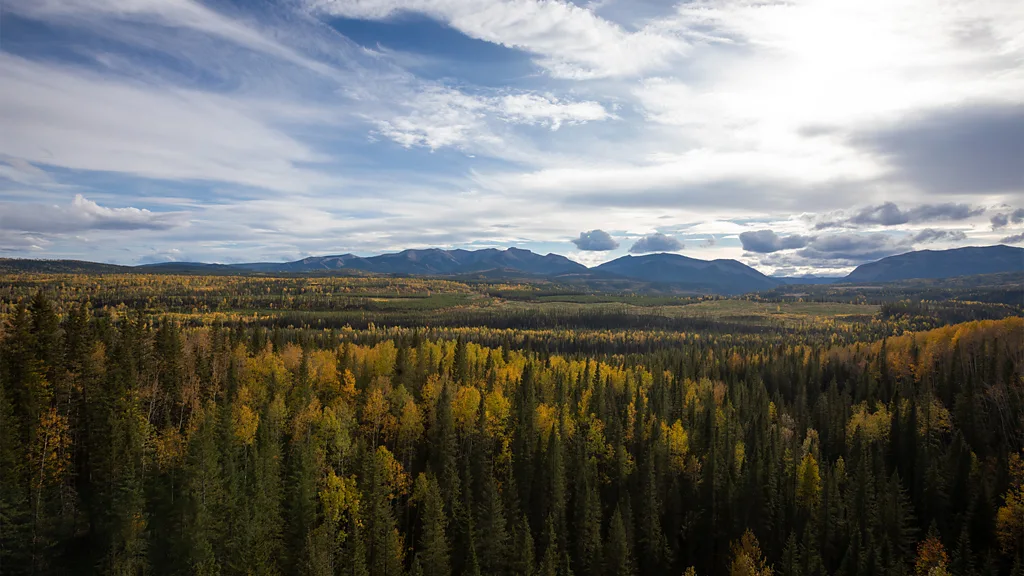 Unlike Banff and Jasper, the area around the rail trail is free from crowds (Credit: Dani Lefrancois)