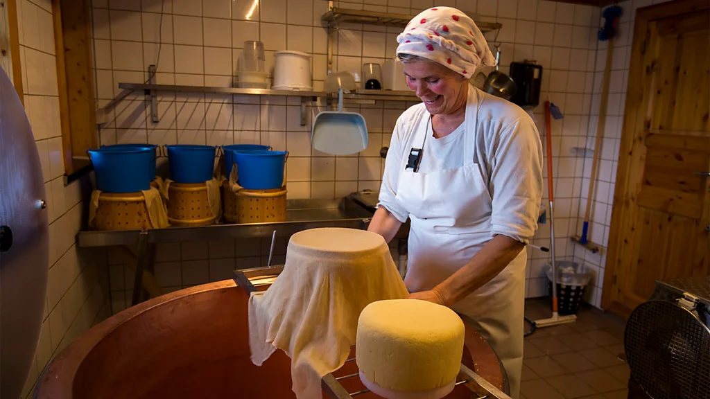 Cheese was traditionally produced on-site, turning fresh mountain milk into food that could be stored and carried through winter (Credit: Scanout.com)