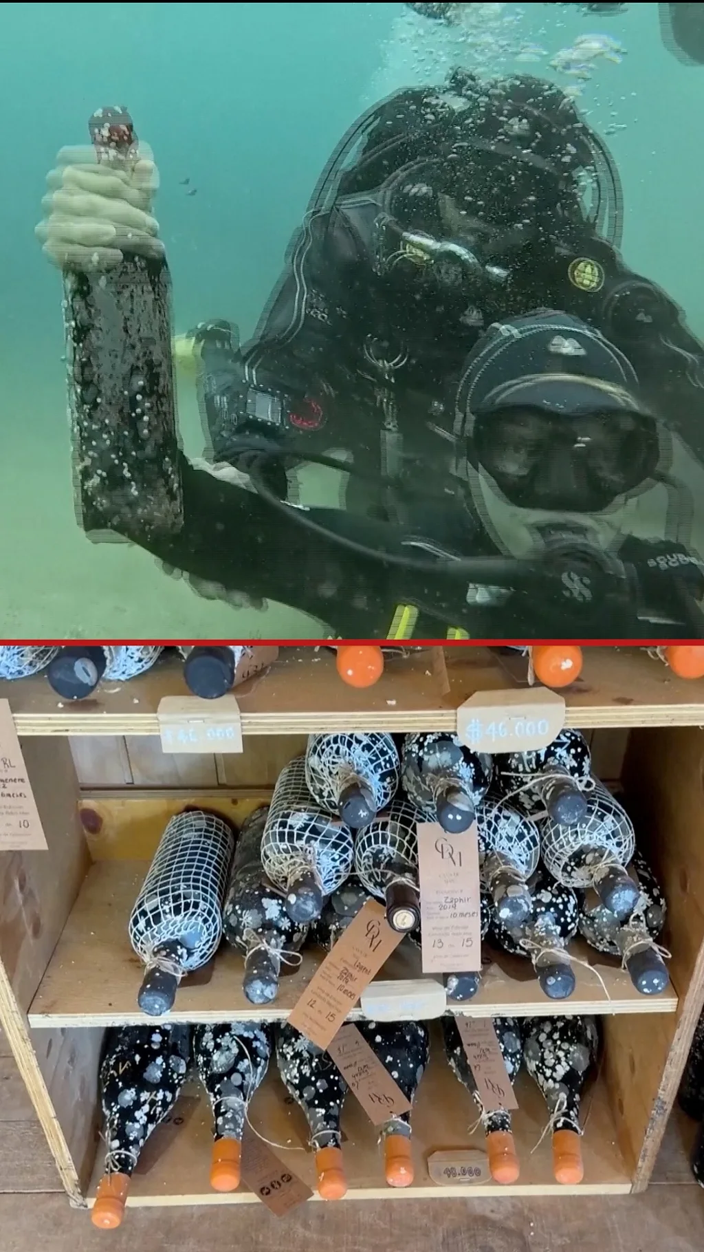 бутылки с вином