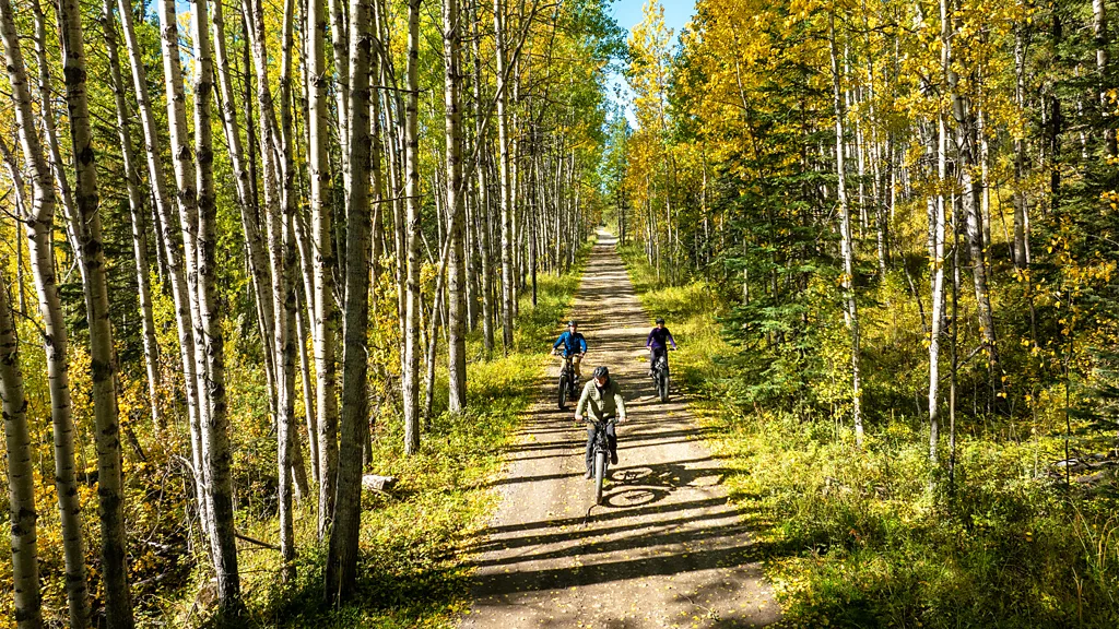 The rail trail traces a former train line that helped open up western Canada (Credit: Mitchell Leung/ Travel Alberta)