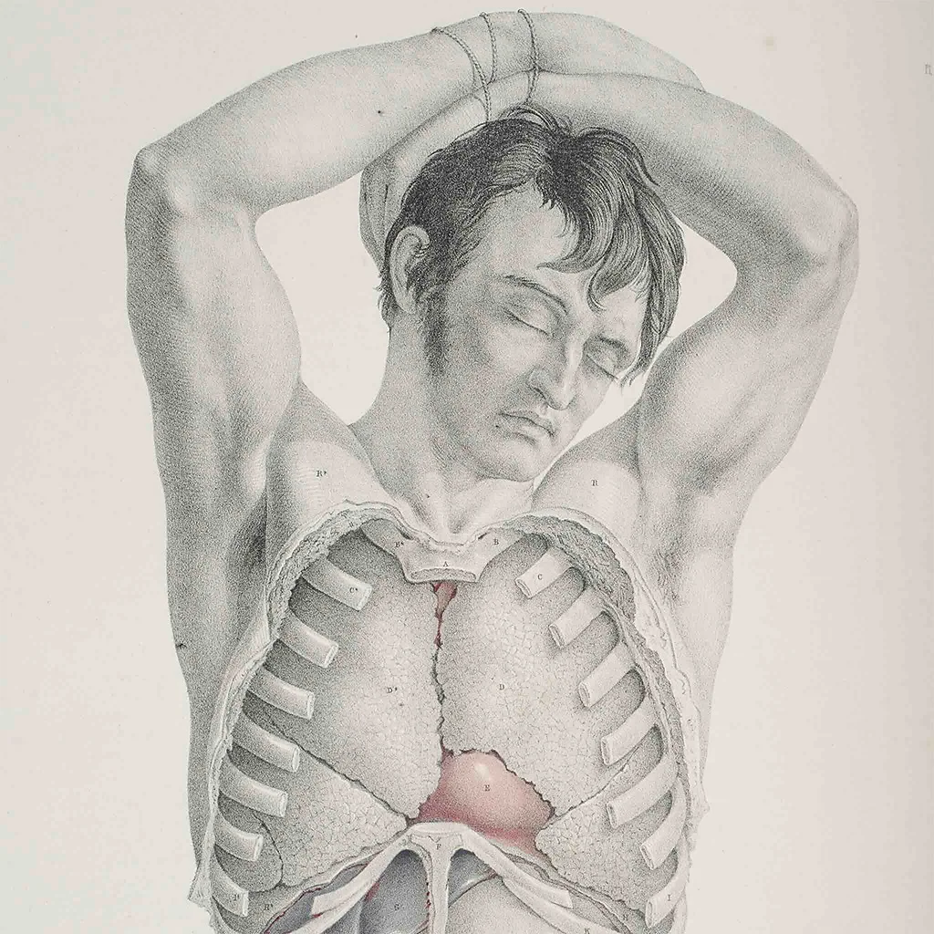 Joseph Maclise's 1851 book Surgical Anatomy was a landmark work (Credit: Mark Newton Photography)
