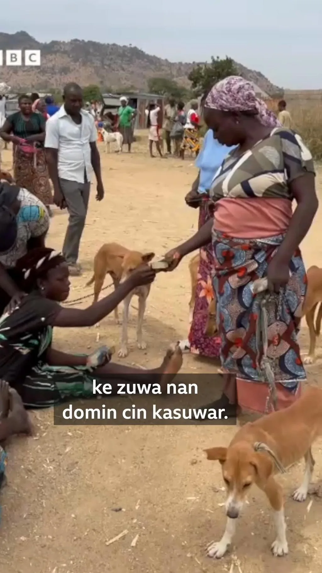 Kasuwar hada-hadar karnuka a arewacin Najeriya