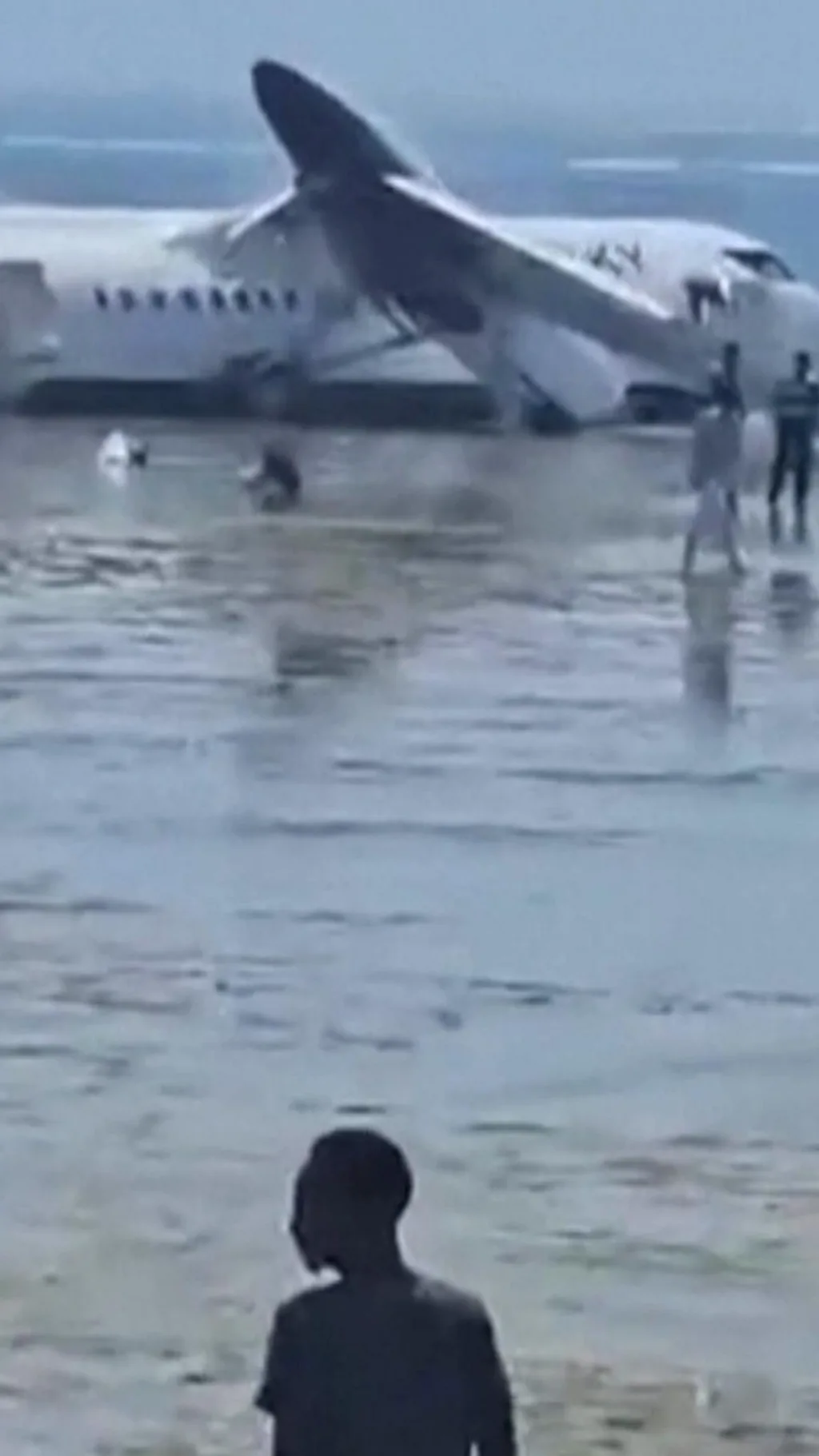 लहान विमान इमरजन्सी लँडिंगदरम्यान धावपट्टीवरून घसरलं, थेट समुद्रात जाऊन पडलं