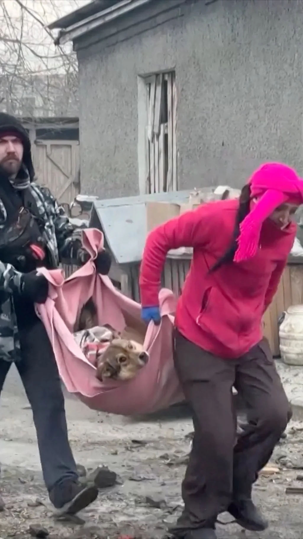 ljudi nose povredjenog psa u roze cebetu