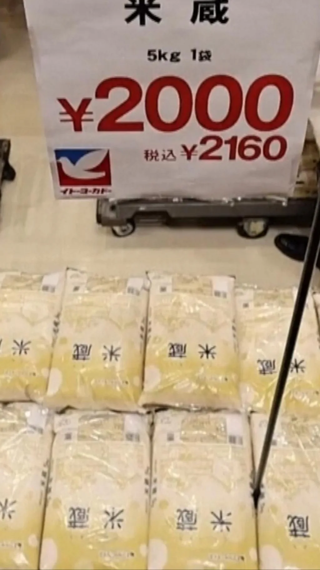 9000+ રૂ. પ્રતિ કિલોના ભાવના સૌથી મોંઘા ચોખાનો સ્વાદ કેવો હોય છે?