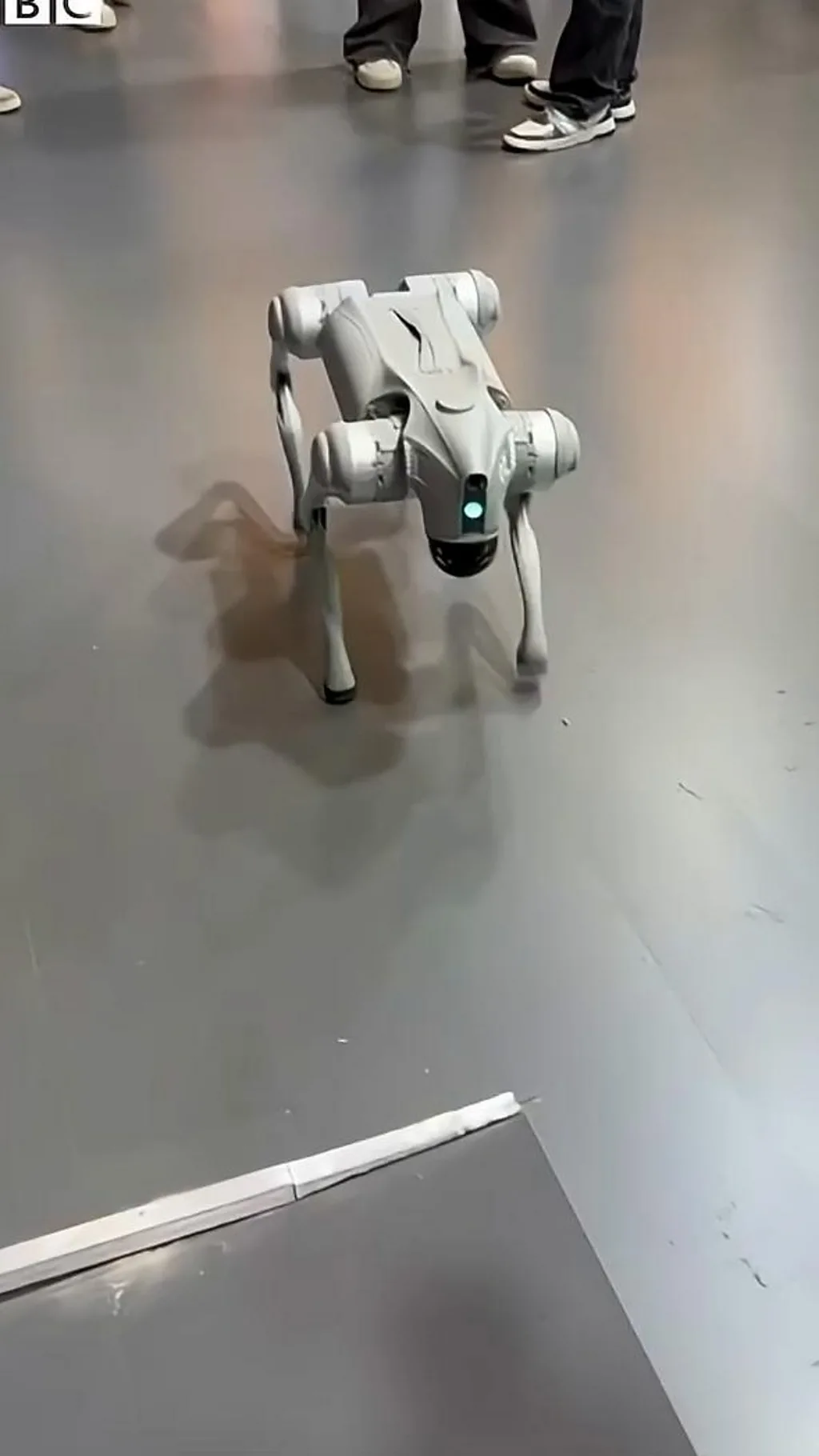 AI समिटमध्ये रोबो डॉगवरून वाद का झाला? थेट चीनमधून टीका का झाली?