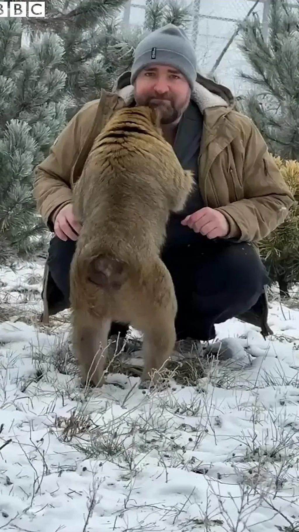 माकड जेव्हा त्याची सुटका करणाऱ्याच्या जखमा कुरवाळतं