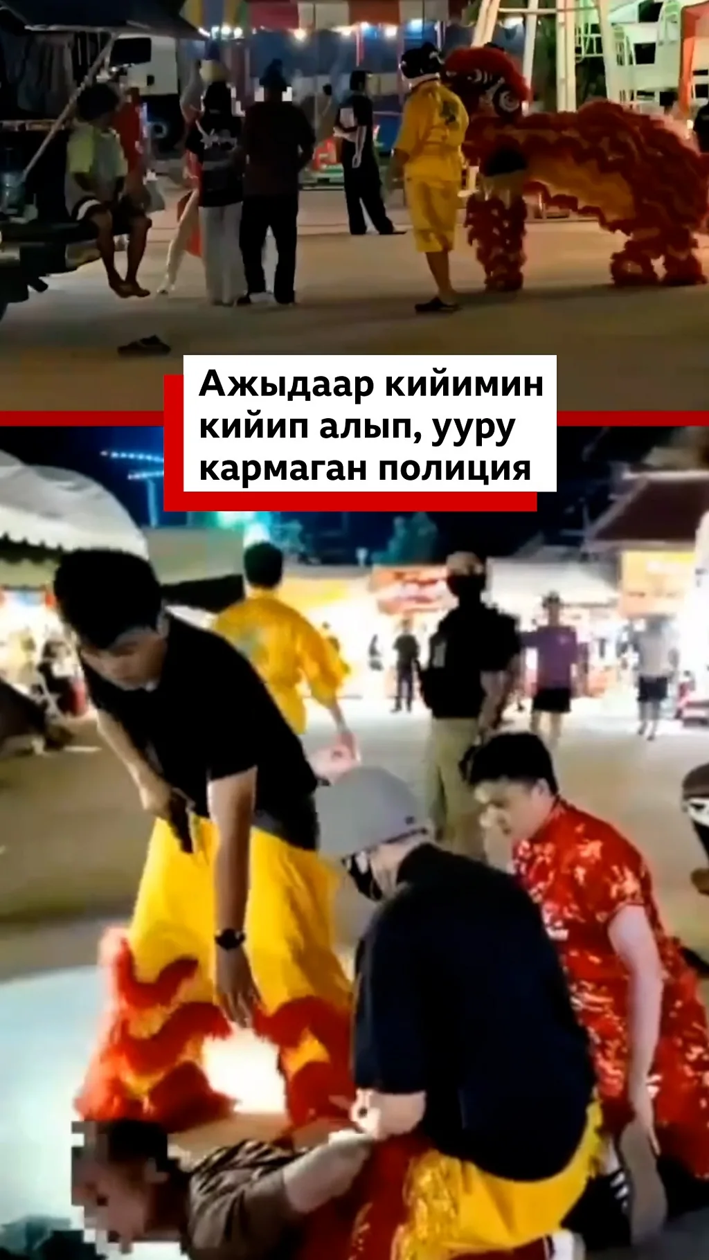 Ажыдаар кийиминде ууру кармаган полиция