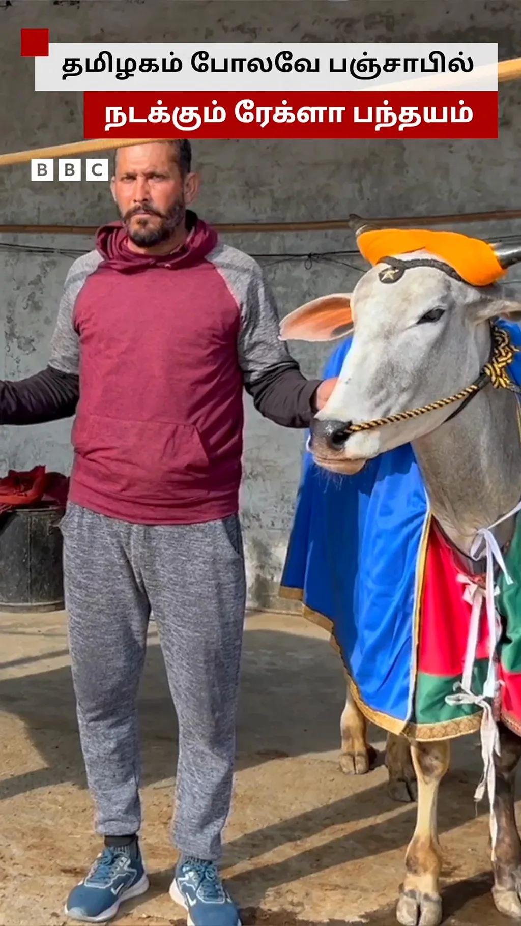 தமிழகம் போலவே பஞ்சாபிலும் நடக்கும் ரேக்ளா பந்தயம்