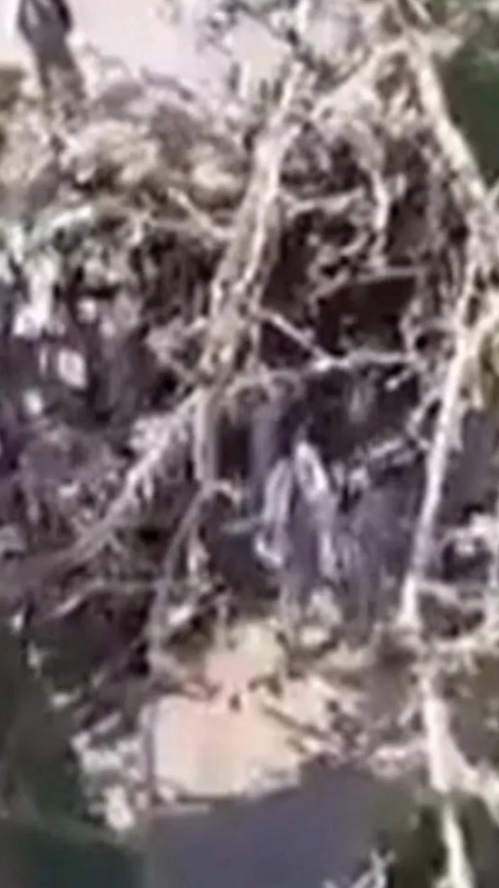 இரானில் பல்கலைக்கழக மாணவர்கள் போராட்டம்