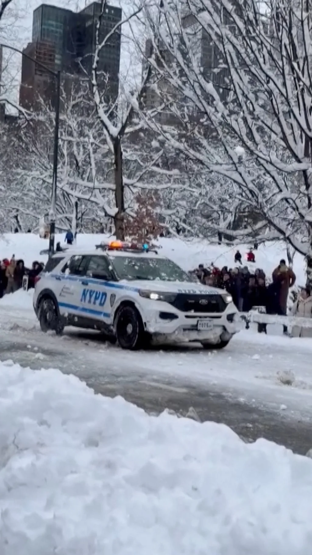 полицейская машина