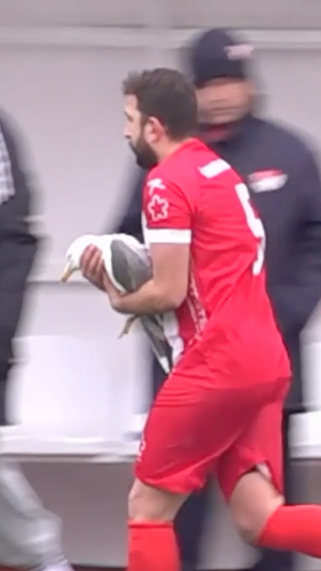 Во время игры двух любительских футбольных клубов в Стамбуле вратарь случайно сбил мячом птицу. Другой игрок пришел ей на помощь.