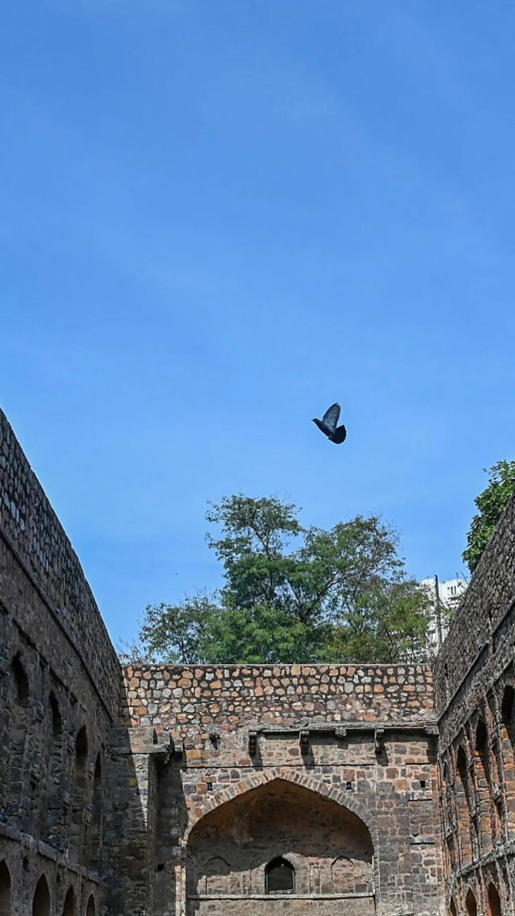 क्या आसमान का रंग हमेशा से नीला ही था?