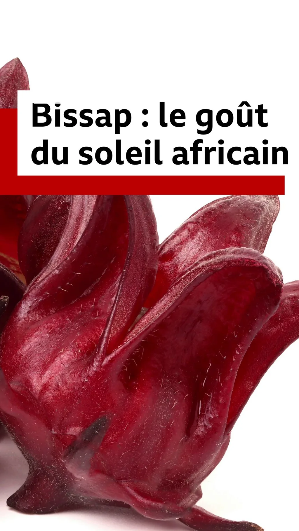Infusée, parfumée, servie froide ou chaude… cette fleur rouge a conquis bien au delà de l’Afrique.