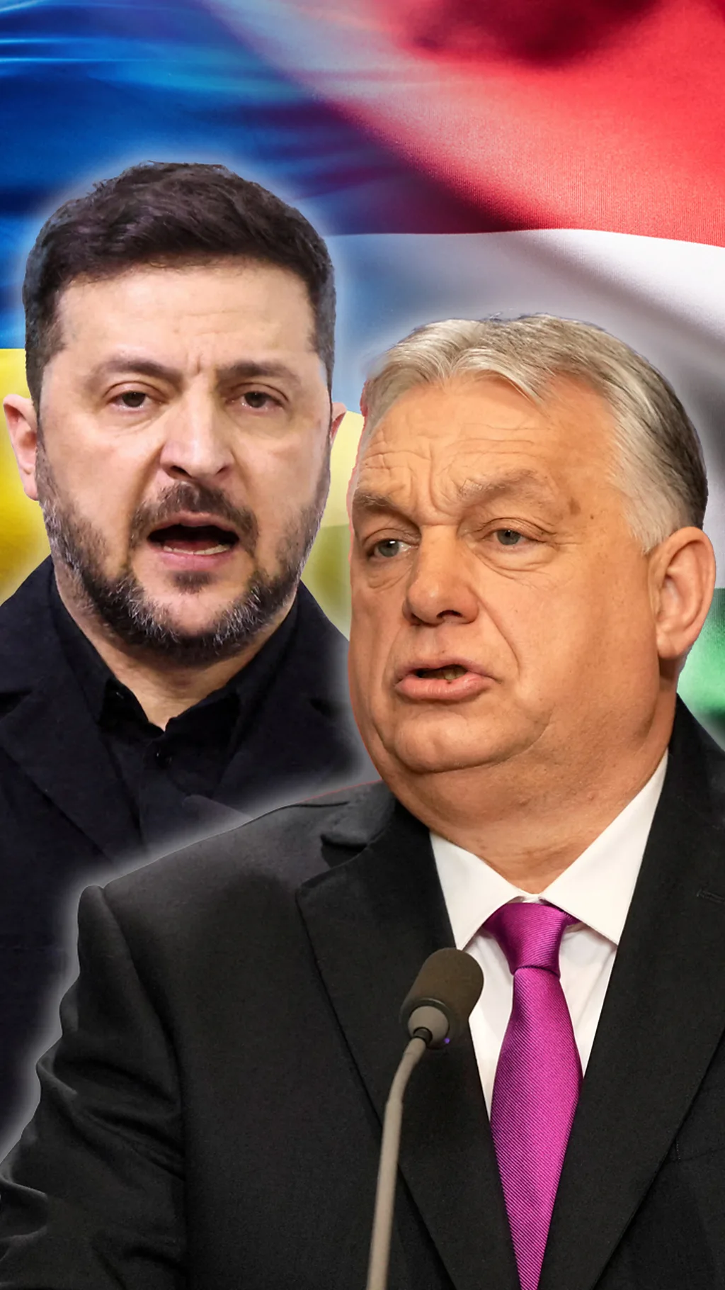 Виктор Орбан и Владимир Зеленский