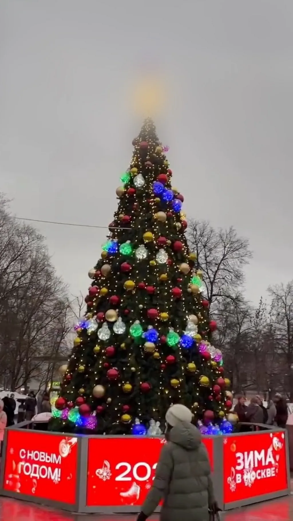 новогодняя ель