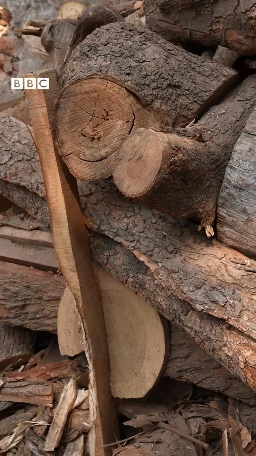 కట్టెలు