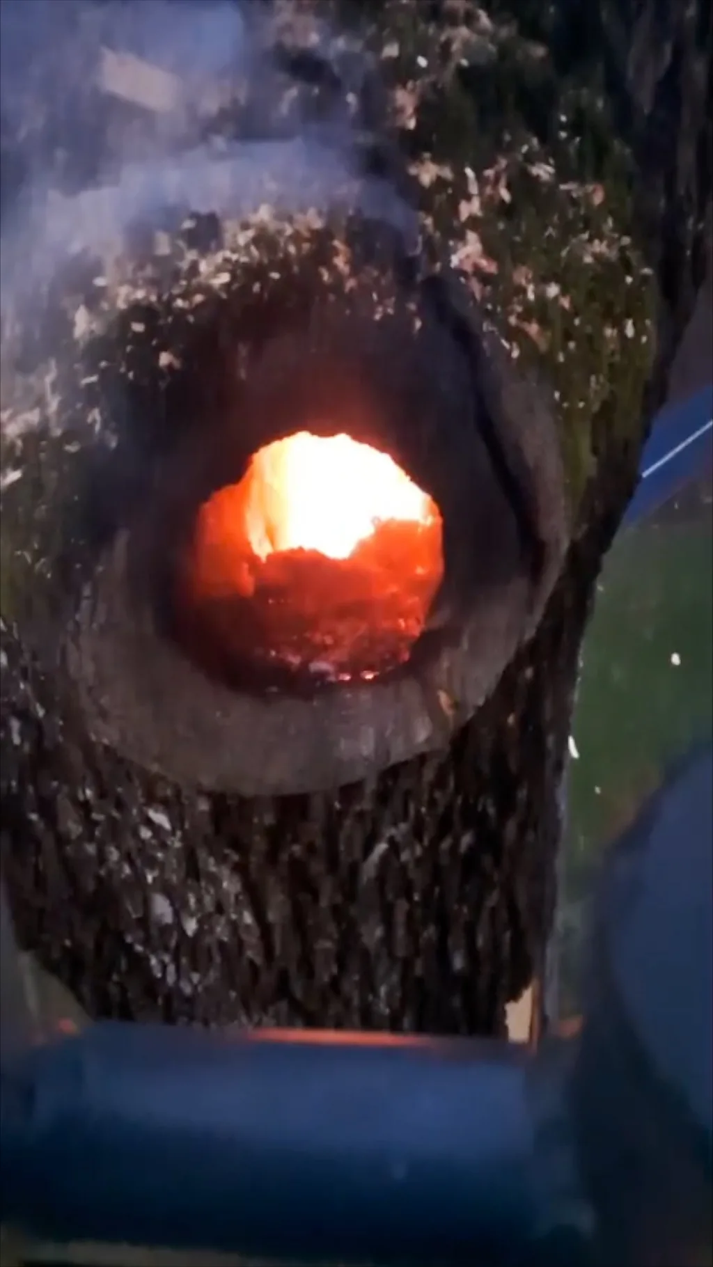 Grom udario u drvo i zapalio ga – iznutra