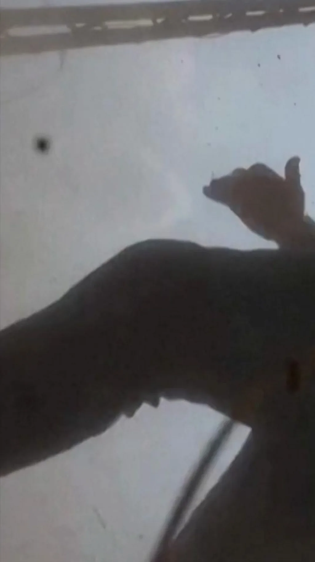 காணொளி: லெபனானில் செய்தியாளர் அருகே விழுந்த ஏவுகணை