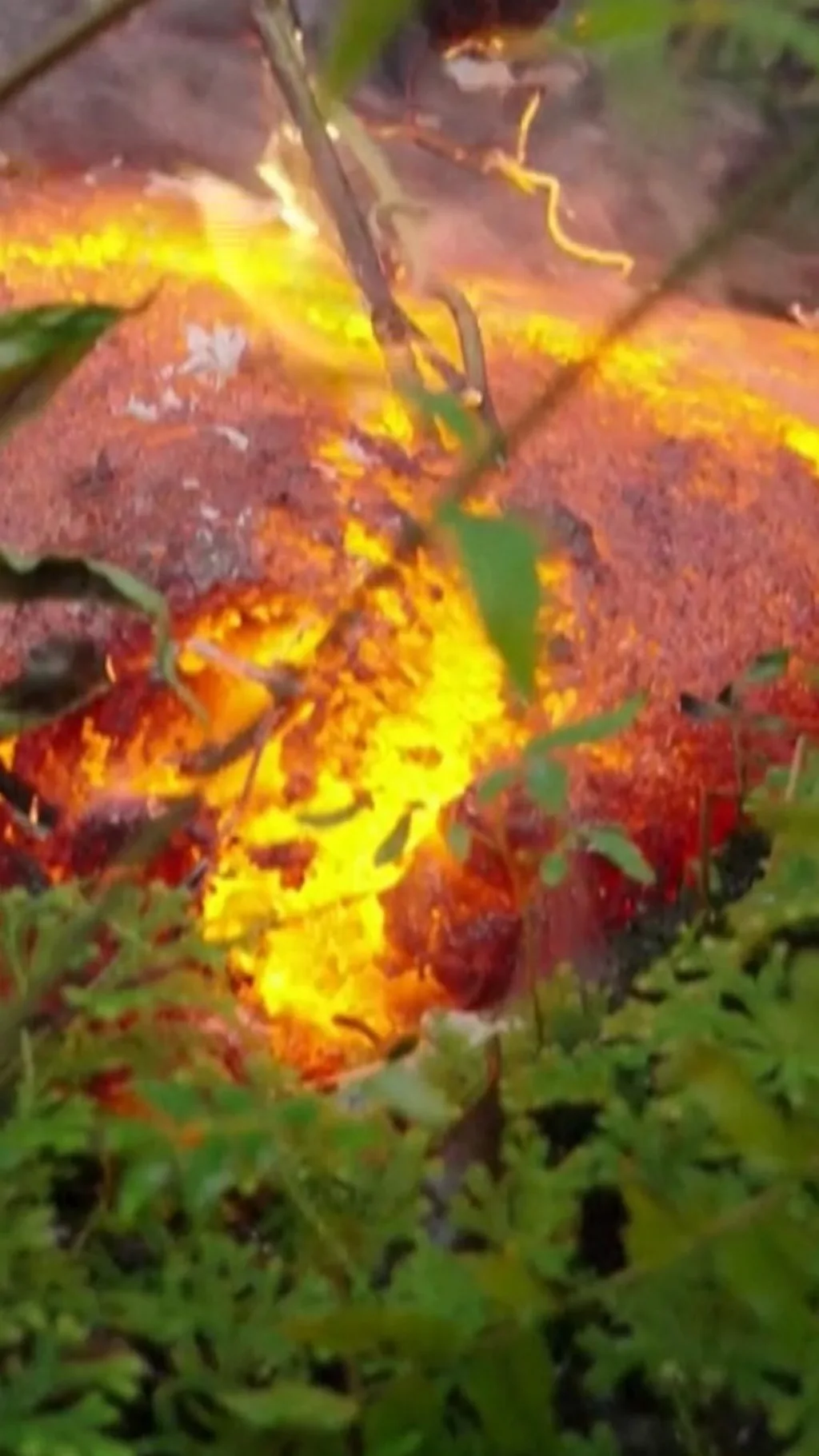 જ્વાળામુખીના લાવાને સમુદ્ર સુધી પહોંચતા એક મહિનો લાગ્યો