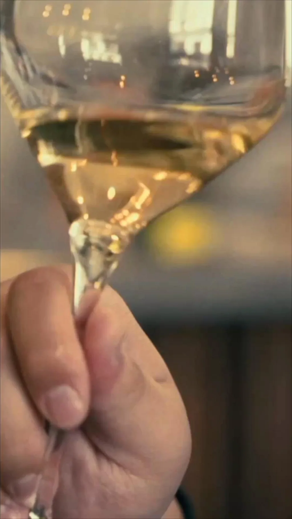 ஐரோப்பிய விலாங்கு மீன்கள் கடத்தப்படுவது ஏன்?